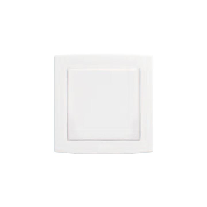 ABB Concept BS Blank Plate