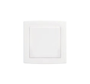 ABB Concept BS Blank Plate