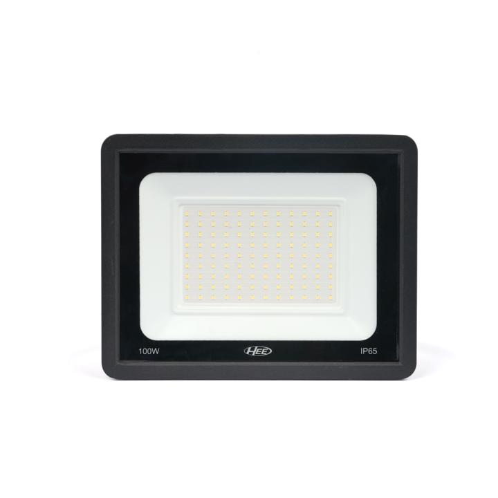 HEE LED 100W Flood Light