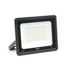 HEE LED 100W Flood Light