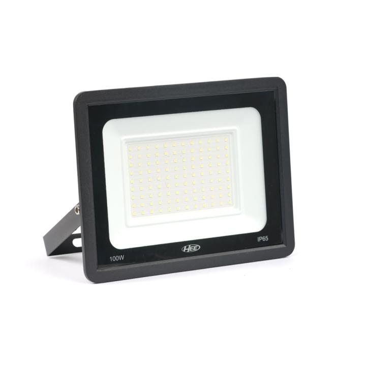 HEE LED 100W Flood Light