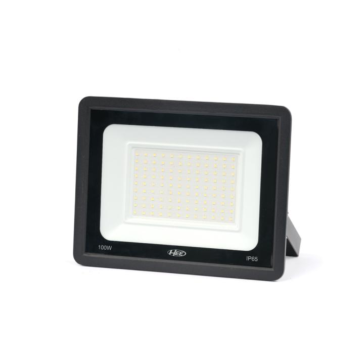 HEE LED 100W Flood Light