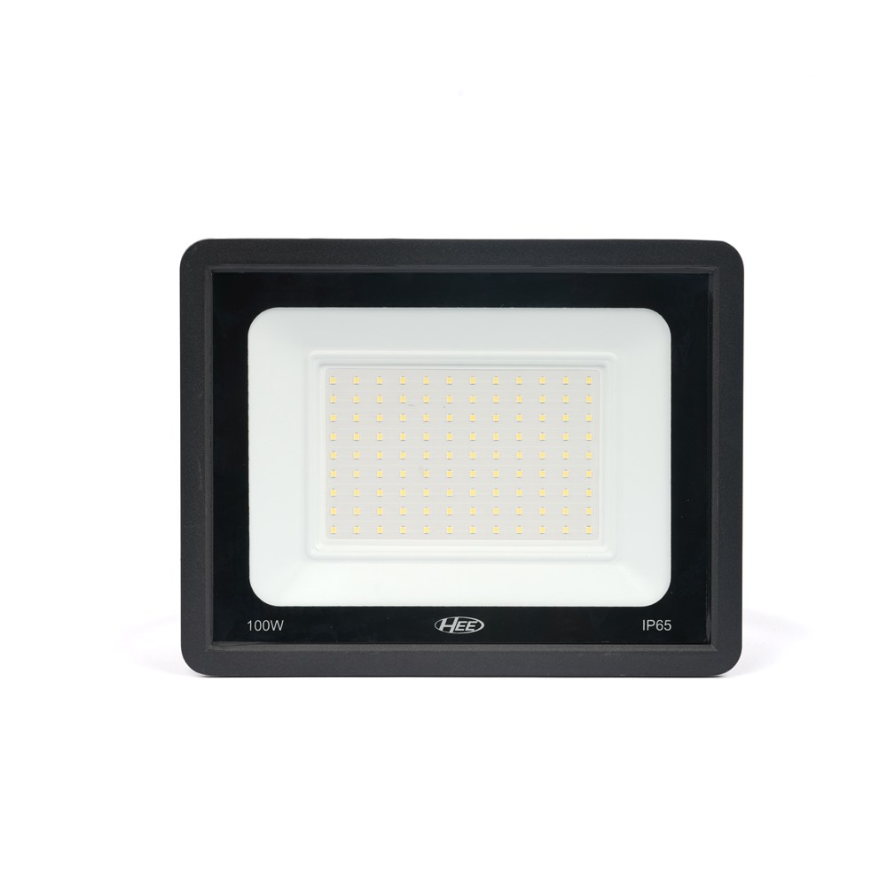 HEE LED 100W Flood Light
