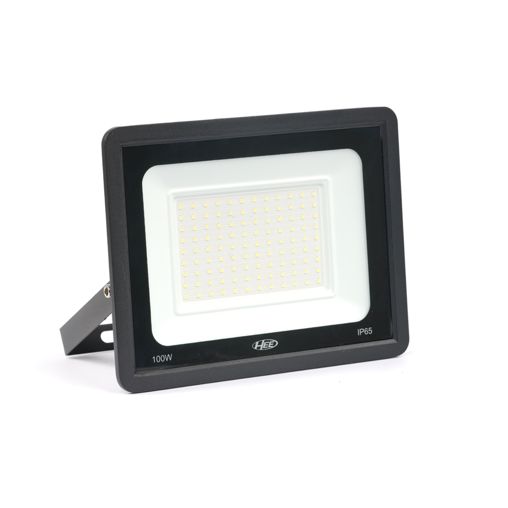 HEE LED 100W Flood Light
