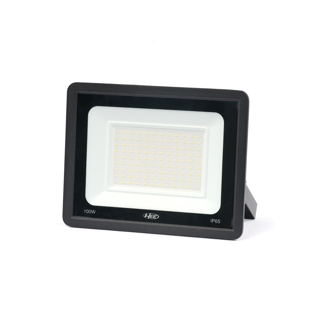HEE LED 100W Flood Light